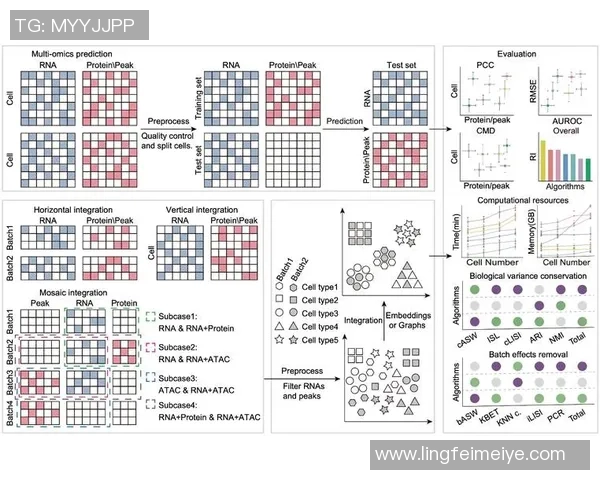 S15电竞总决赛聚焦DOTA2FPX团队配合与战术分析的深度探讨