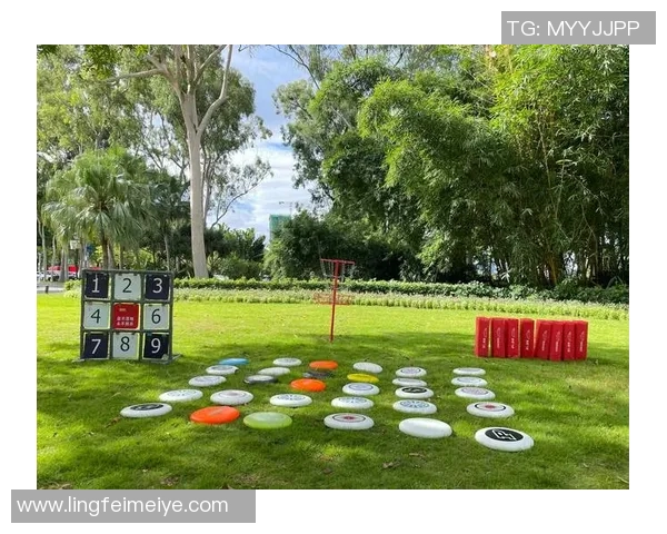 深圳飞盘队进攻战术解析与运动飞盘热潮的深度探讨