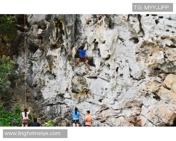 武汉攀岩队战术之争引发热议攀岩爱好者的不同声音与观点分析实时数据 武汉攀岩队战术之争引发热议攀岩爱好者的不同声音与观点分析实时数据