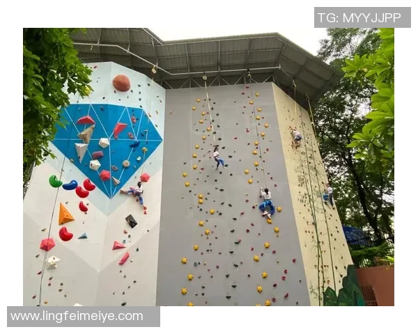 运动数据南京攀岩队灵活性分析与提升策略探讨及实践效果评估